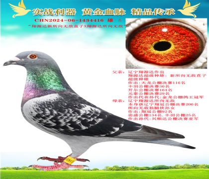 “所向無(wú)敵近親”