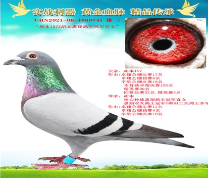 “胡本近親”