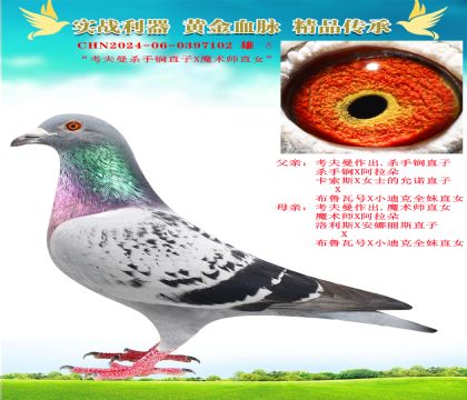 “考夫曼殺手锏直子X(jué)魔術(shù)師直女”