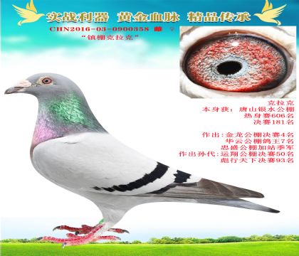“鎮(zhèn)棚克拉克”