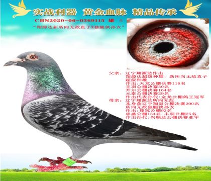 “新所向無敵直子X翔源達(dá)所向無敵”