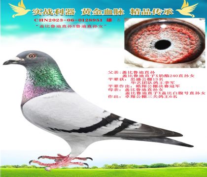 “蓋比魯?shù)现睂OX蓋比魯?shù)现睂O女”