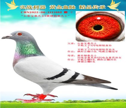 “石春寶桑杰士X黃世炯桑杰士”
