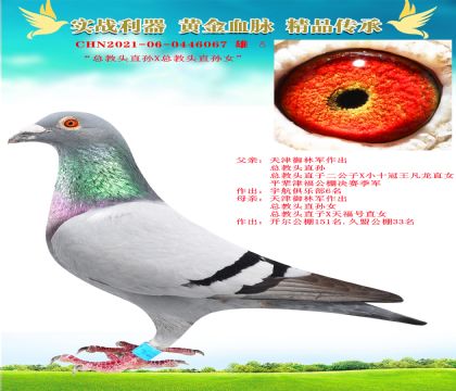 “總教頭直孫X總教頭直孫女”
