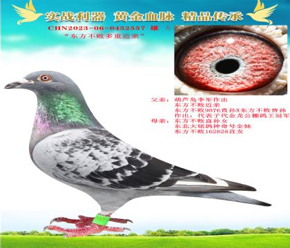 “東方不敗多重近親”