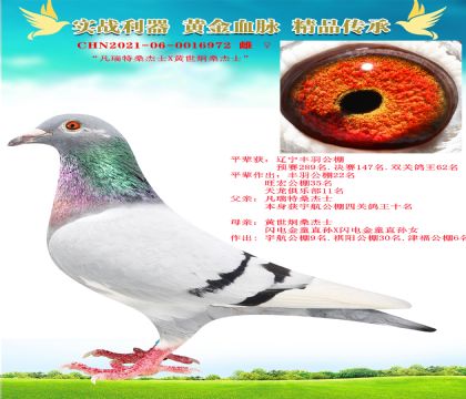 “凡瑞特桑杰士X黃世炯桑杰士”