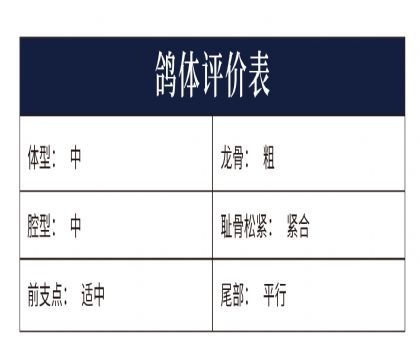 0558322yu