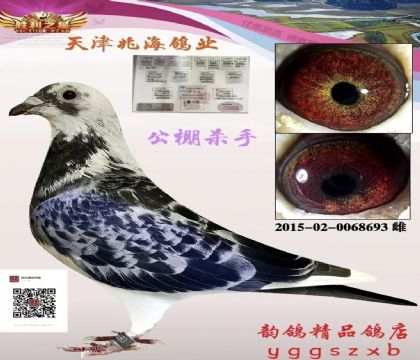 兆海鴿業(yè) 原舍
