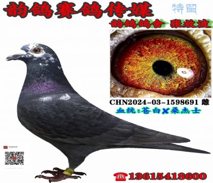 蒼白★黑桑