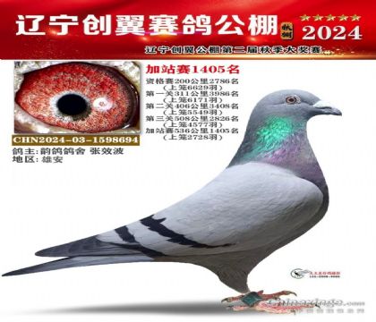 桑杰士★電狐貍