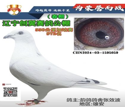 創(chuàng)翼972