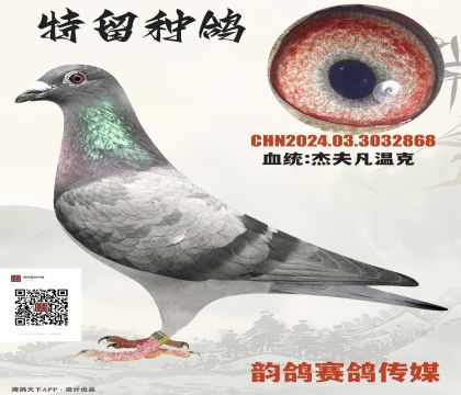 杰夫凡溫克