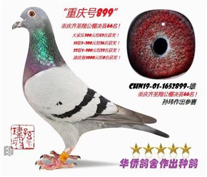 _ǡ̖OؑcQِ8