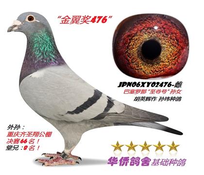 ױֱ̖̖OŮؑc8