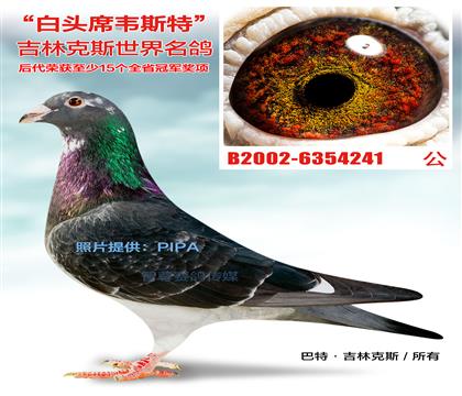 游-ֿ˹ƷN