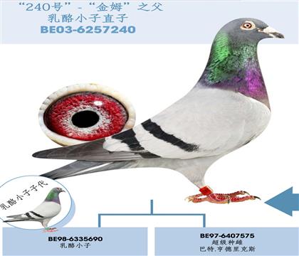 游