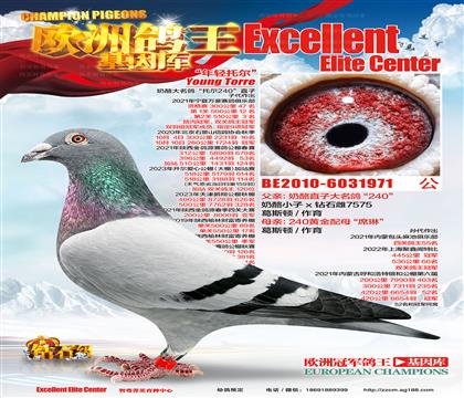游