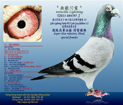 游