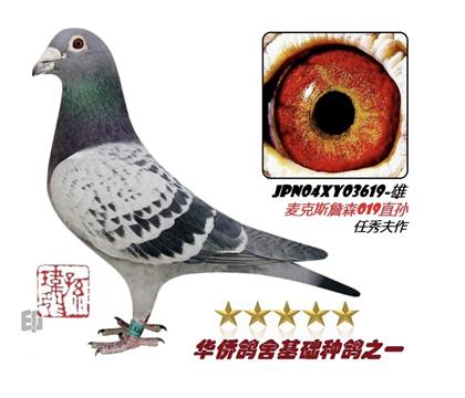 游019ֱOOƷղɭ619̖(ho)