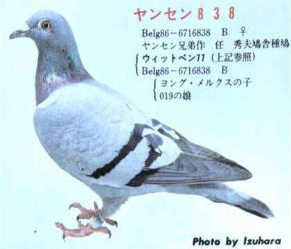 ĸ˴N̖(ho)֮Ů838̖(ho)