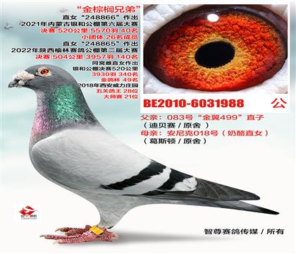 游