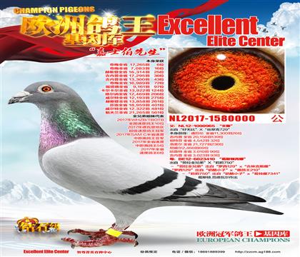 游