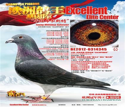 游