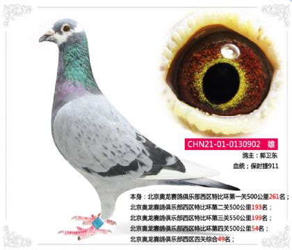 Wِ㘷^(q)P(gun)C49   	