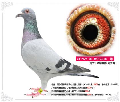 _(gu)HِĹ517Qِ990   	