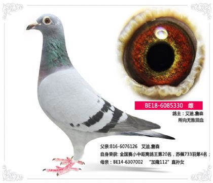 .ղɭ---oѪ   330   	
