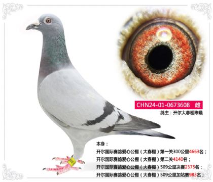 _(gu)HِĹ509վِ983
