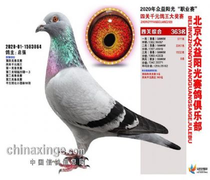 ꖹِ㘷ǧԪرȭh(hun)P(gun)5508   