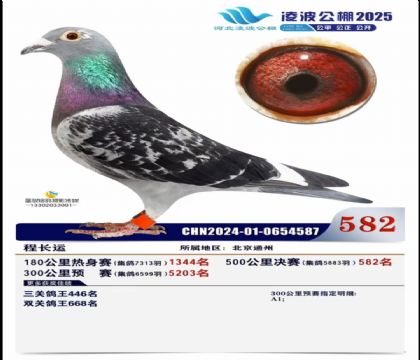ӱ貨ِ500Qِ583   	
