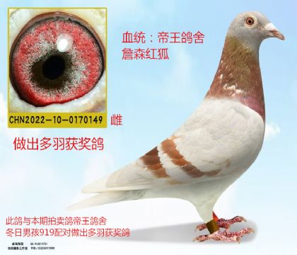 ղɭtH