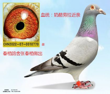 ҄H