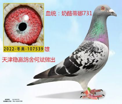 (wn)Aҵ731