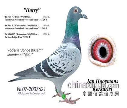 游