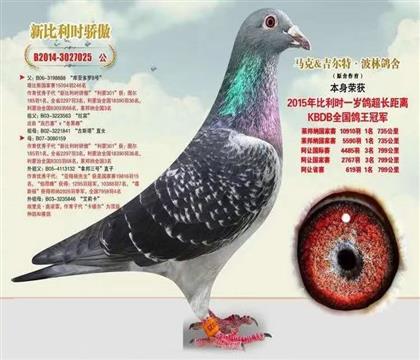 游