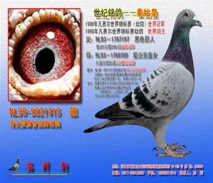 游ʼ