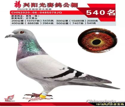 N  dꖹ⹫Qِ540