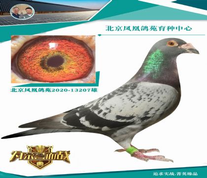 (gu)_ֱӴ ݅֘O