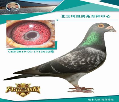 (li)(gu)(ni)ӵһֱƯ̖(ho)