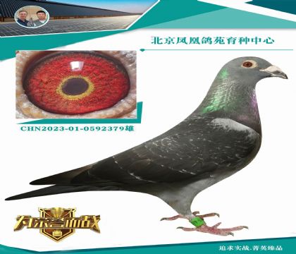 (sh)ٶȡw(wn)Ƴ400-700l(f)]O(qing)