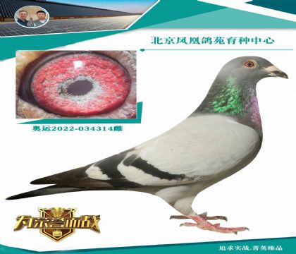 ᠖C(j)X᠖š