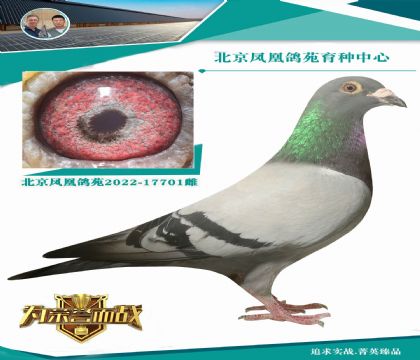 (gu)(ni)Ҳ    ţ ѪO(qing)