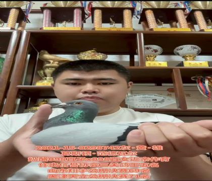 ˹D.ߠ098ֱX(ju)098ֱŮH