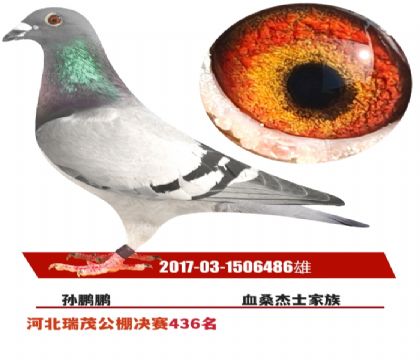 ӱïQِ436