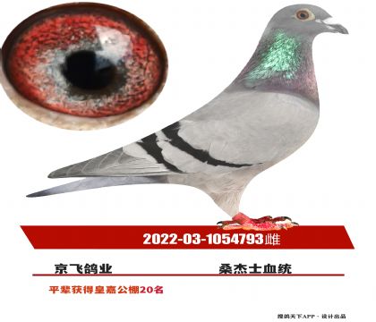 50015