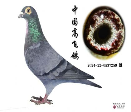 wFţ