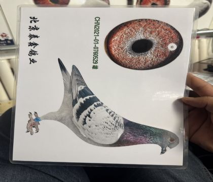14.聯(lián)翔68名直子家族超級(jí)發(fā)揮